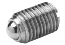 Plunger bolt